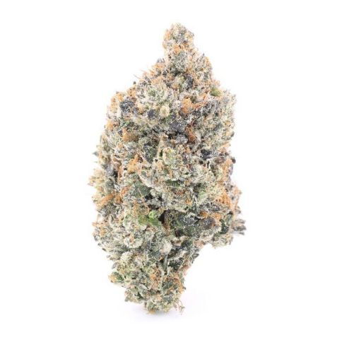 Platinum Pink