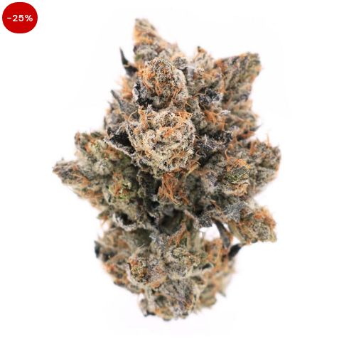 MK Ultra