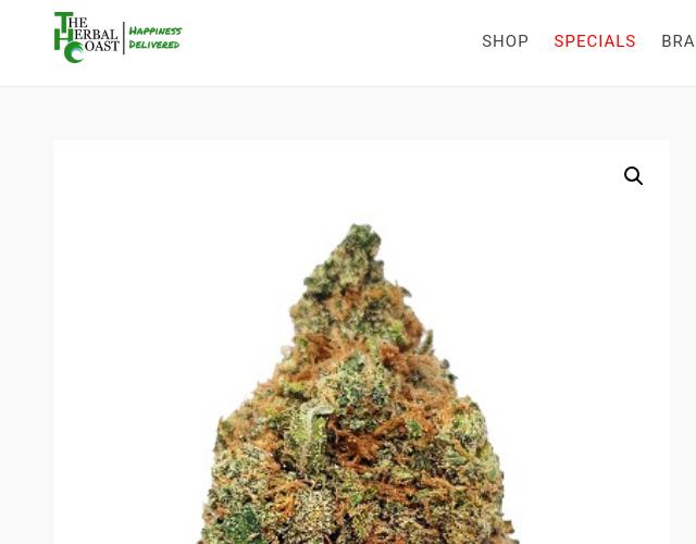 Gelato