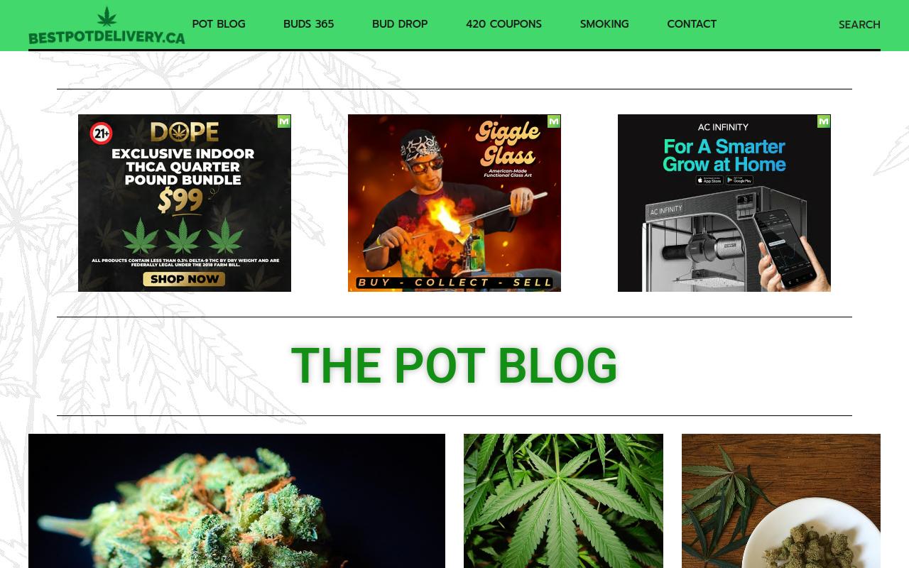 BuyMyWeedDirect website