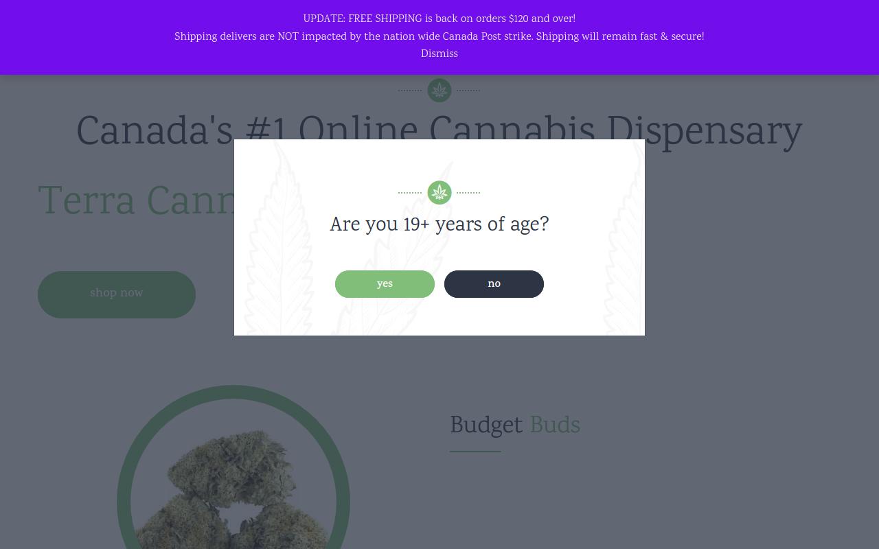 TerraCannabis website