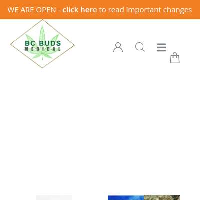 BCBudsMedical